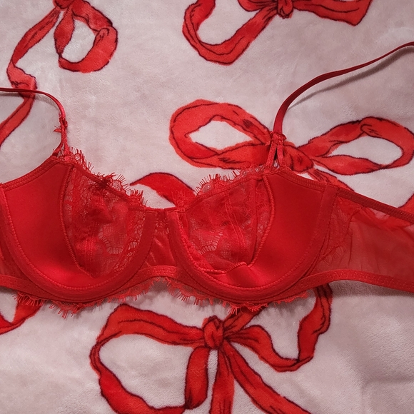 Victoria's Secret Dream Angels Demi EUC - Picture 5 of 6